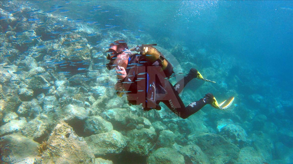 Türkiye’nin En İyi Dalış Noktaları: Sualtında Gizli Cennetler