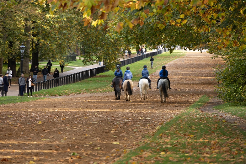 Bahar Bitmeden: Dünyanın En Güzel Şehir Parkları