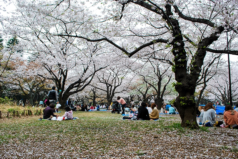 Bahar Bitmeden: Dünyanın En Güzel Şehir Parkları