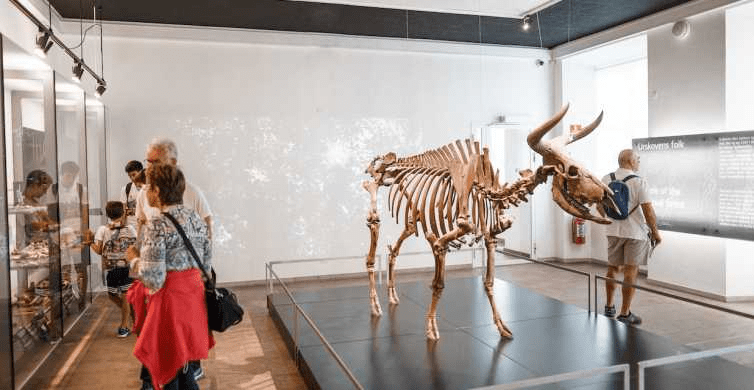 Avrupa'da Ücretsiz Gezilebilecek 8 Müze