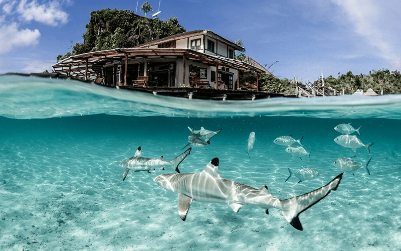 Dünyanın Dört Bir Yanından, Yaşadığınızı Hissettirecek Yedi İlginç Deneyim