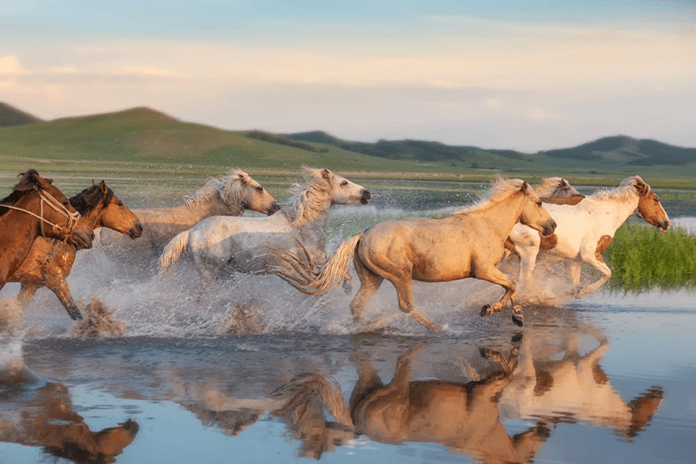 Seyahat Tutkunları İçin İlham Veren 7 YouTuber