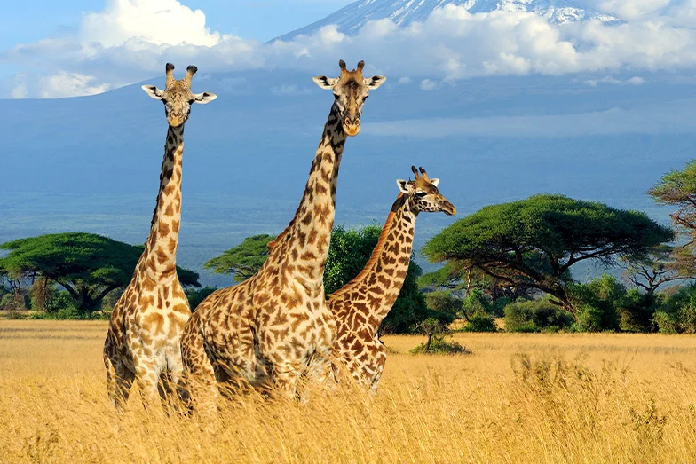 Seyahat Tutkunları İçin İlham Veren 7 YouTuber