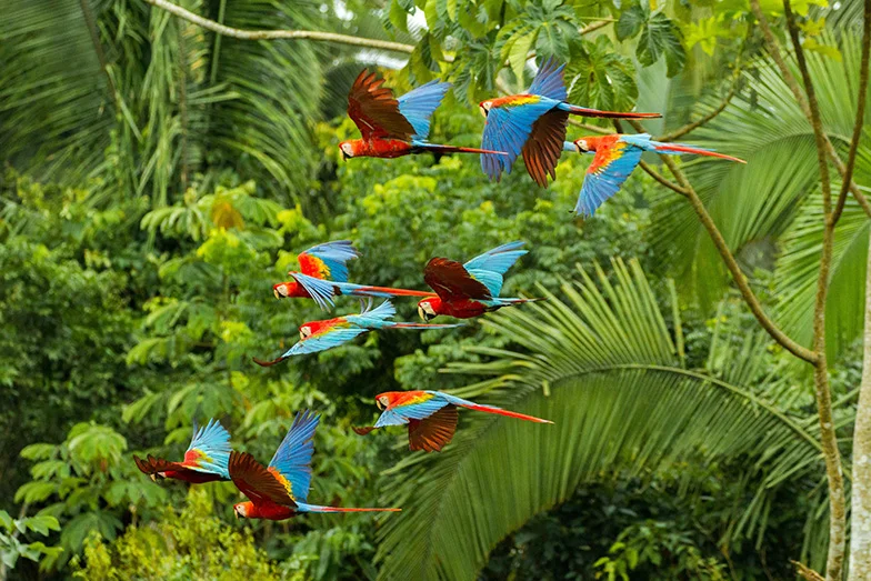 Seyahat Tutkunları İçin İlham Veren 7 YouTuber