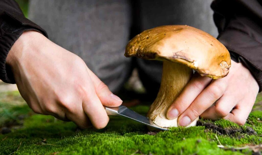 Tatil Deyip Geçmeyin: Seyahat Size Yeni Bir İşin Kapılarını Açabilir!