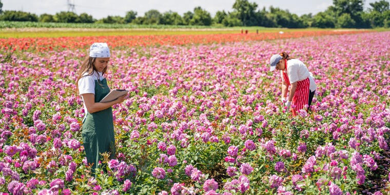 Tatil Deyip Geçmeyin: Seyahat Size Yeni Bir İşin Kapılarını Açabilir!