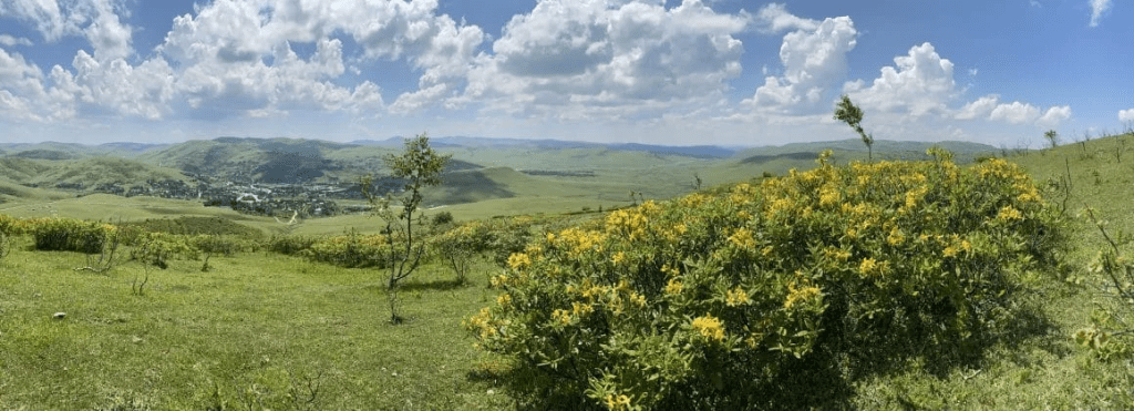 Karadeniz Yaylalarında Uzak Kamp Deneyimi