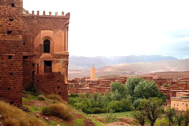 Binlerce Yıllık Miras: Zeytin ve Zeytinyağı