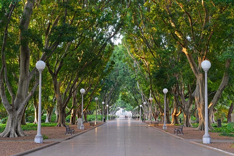 Sidney: Doğal Güzelliklerin ve Şehir Hayatının Buluştuğu Şehir