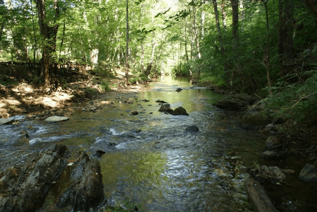Türkiye’de Kamp Tatili Yapabileceğiniz 5 Muhteşem Yer
